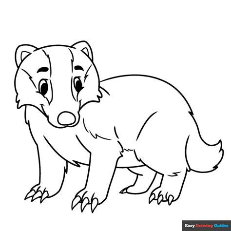 Badger Coloring Page | Easy Drawing Guides