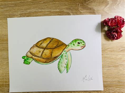 Baby Sea Turtle Color Drawing