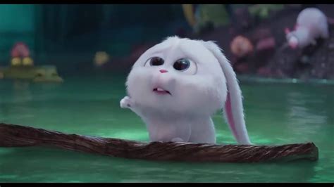 The Secret Life Of Pets - Snowball Funny Moments HD | Cute bunny ...