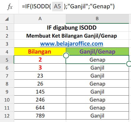 Menentukan Bilangan Ganjil Genap Rumus Excel - Belajar Office