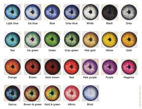 Best 25+ Eye color charts ideas on Pinterest | Baby eye color chart ...