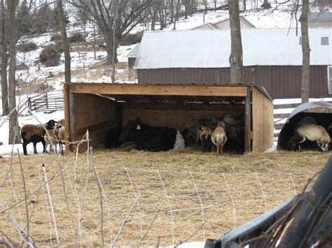 sheep shelter - Google Search | Gardening and animals | Pinterest ...