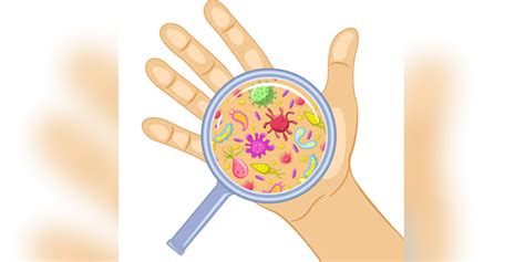 Global Handwashing Day 2021: What Are The Different Types Of Germs And ...