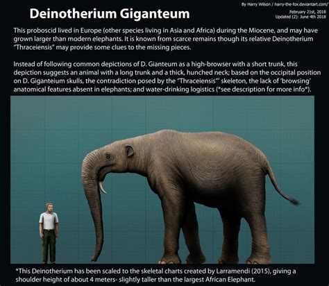 Deinotherium Giganteum Size by Harry-the-Fox | Extinct animals ...