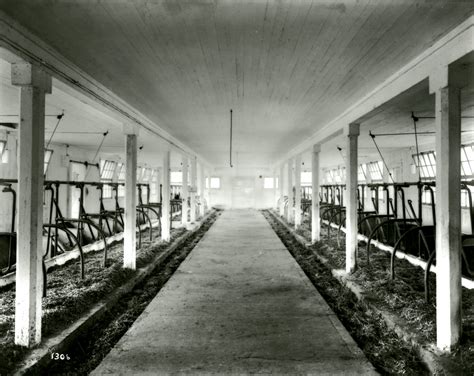 Unidentified farm, interior of barn - ARCHIVES