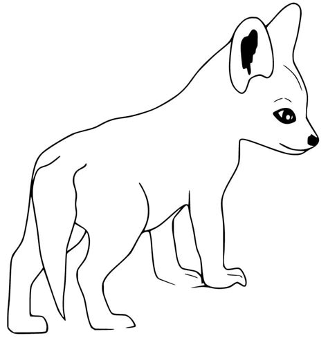 Baby Fennec Fox Coloring Page - Free Printable Coloring Pages for Kids