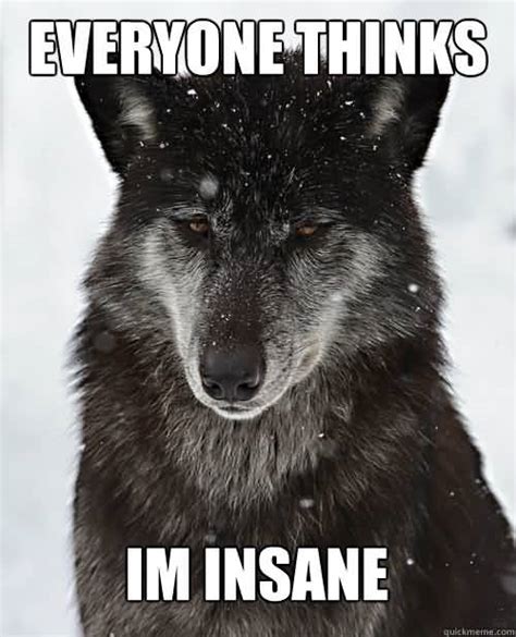 Wolf Meme Funny Image Photo Joke 12 | QuotesBae