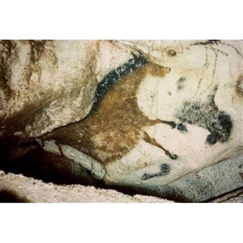 Horse 15 000 B.C. Cave Painting Lascaux Caves France Poster Print - 18 ...