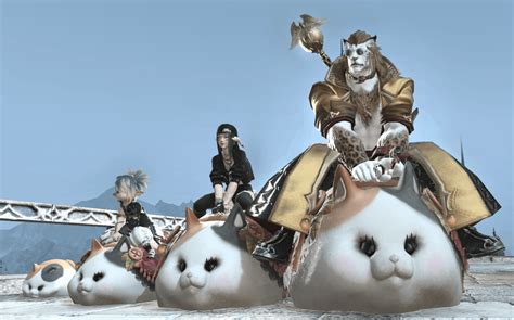 Some fat cat appreciation : r/ffxiv