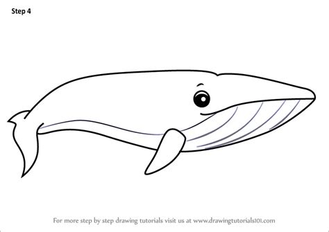 How to Draw a Cartoon Blue Whale (Cartoon Animals) Step by Step ...