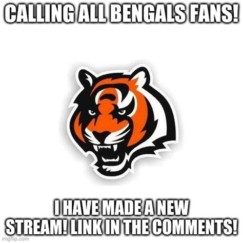 Cincinnati_Bengals - Imgflip