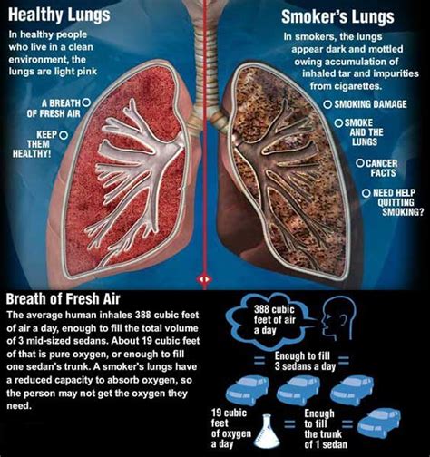 Weekly and Daily Tips for U: Tips on Harmful effects of Smoking