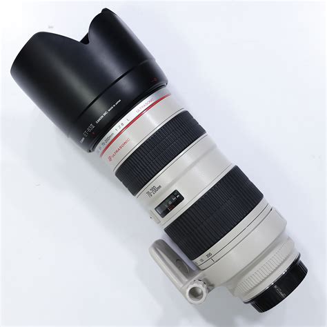 Canon EF 70-200mm f2.8L USM cũ | Mayanh24h nơi mua sắm máy ảnh giá và ...