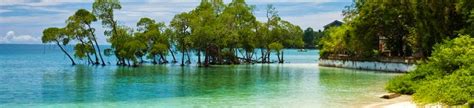 Hotels in Andaman: Hotel Booking in Andaman