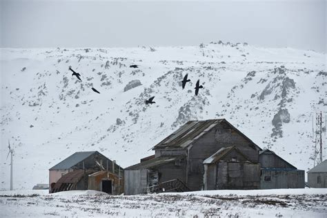 Photos: Life on St. Lawrence Island - Anchorage Daily News