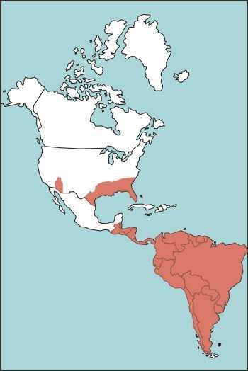 coral-snake-range-habitat-map.jpg