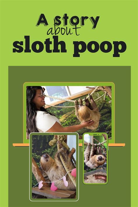 Sloth Poop Facts: Understanding the Evolution of Sloth Poo