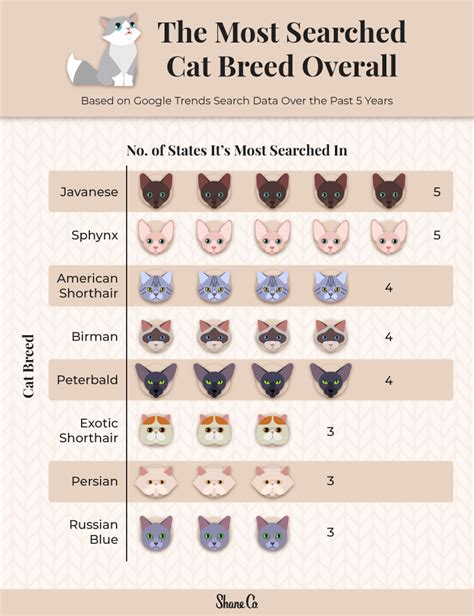 Cat Breeds Chart