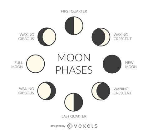 Moon Phases Vector at Vectorified.com | Collection of Moon Phases ...