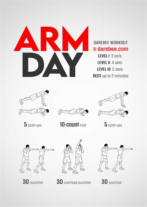 Arm Day Workout