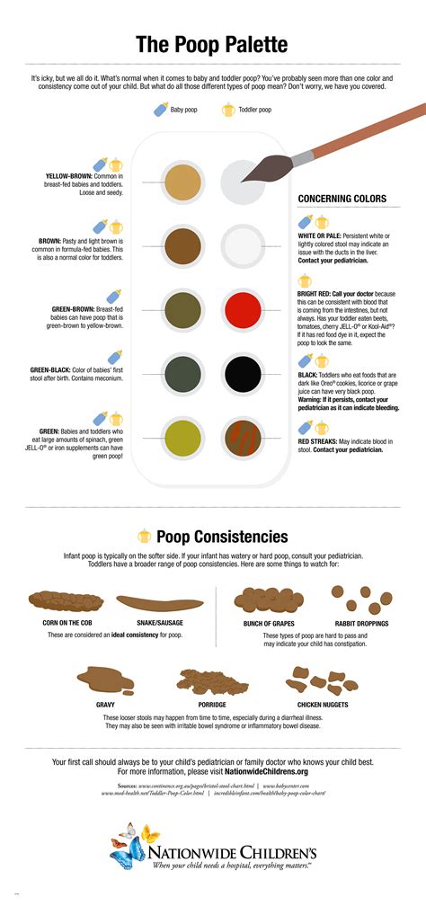 Healthy Human Poop Chart