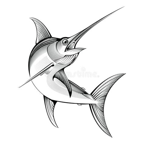 Swordfish Vector Illustration Stock Vector - Illustration of green ...