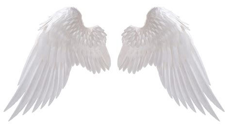 Free Angel Wings Transparent Background, Download Free Angel Wings ...