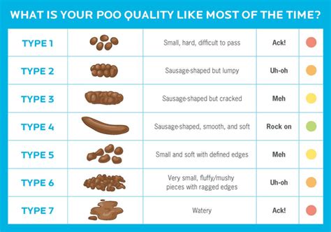 Here's How to Tell If Your Poop is Normal – Poo~Pourri