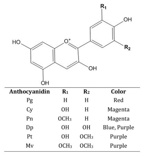 Chemical structures of the most common anthocyanidins and their color ...