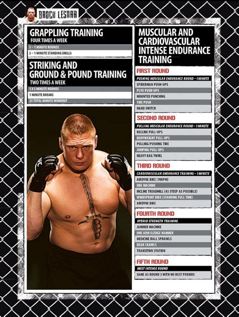 Martial arts zone: Brock lesnar workout routine