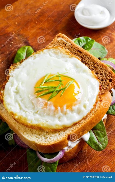 Fried egg on a toast stock photo. Image of time, cooked - 36789780