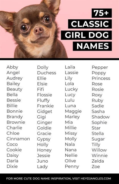 What Are Some Unusual Dog Names