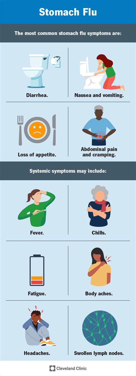 Stomach bug 2024 symptoms - Workability