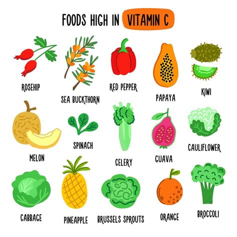 Flat vector illustration depicting foods high in vitamin C. Source of ...