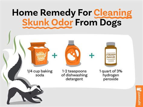 How Long Does A Skunk Smell Last On A Dog? - PawSafe