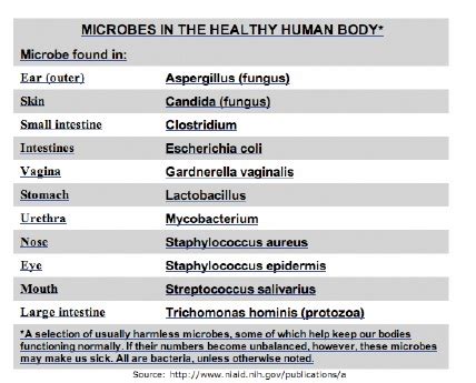 Disease Causing Micro-organisms — Safe Drinking Water Foundation