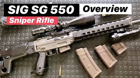 SIG Sniper: SG 550 Overview - YouTube