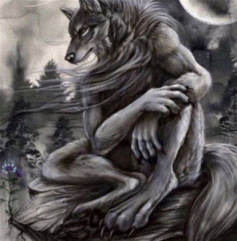 a drawing of a wolf sitting on top of a tree stump with the moon in the ...