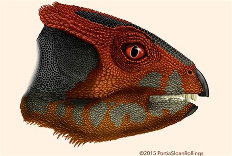 Extinct Animal of the Week: The Oldest Ceratopsian