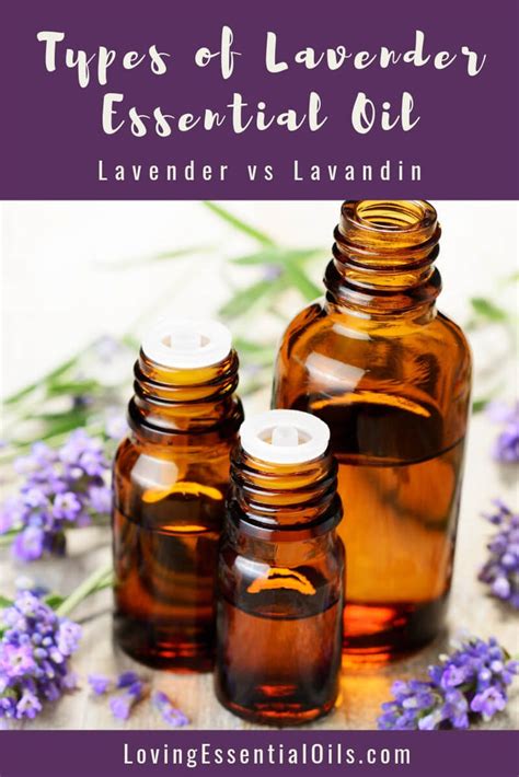 Lavender Essential Oil Types - Lavender vs Lavandin