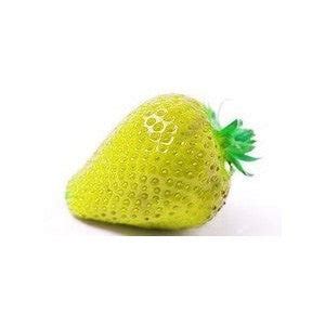 Alpine Yellow Strawberry Seeds | Seeds For Africa – Seeds for Africa