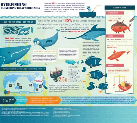 overfishing infographic