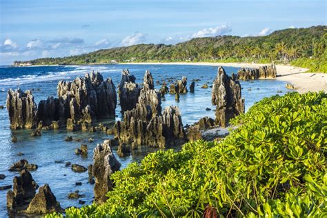 Explore the Pacific Paradise with Nauru Airlines' Island Hopper Service ...