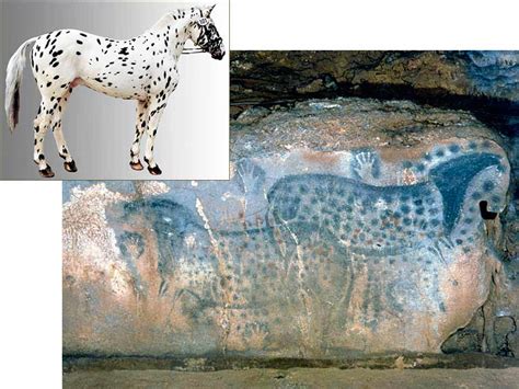 Cave Paintings Horse