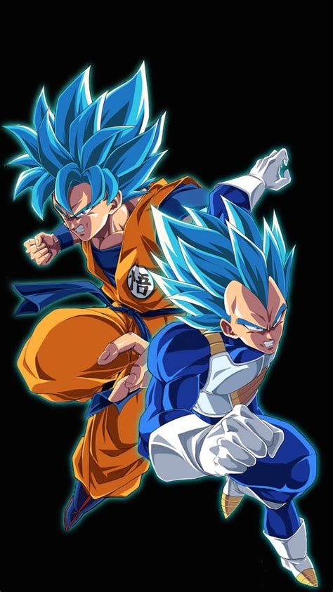 Super Saiyan Blue Goku and Vegeta by KingGoku23 on DeviantArt | Disegni ...