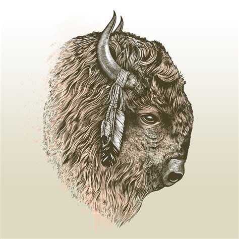 Buffalo Head Drawing at GetDrawings | Free download