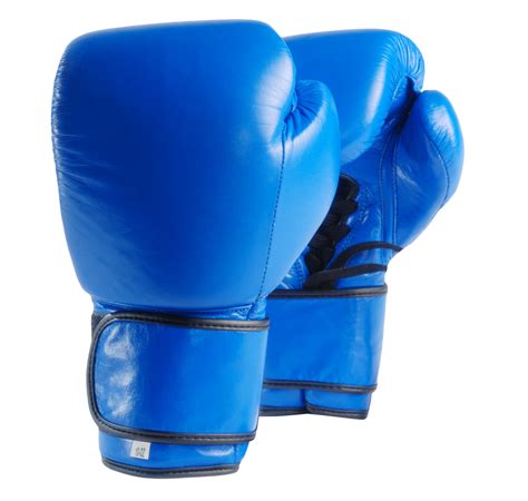 Blue Boxing Gloves PNG Image - PurePNG | Free transparent CC0 PNG Image ...