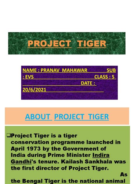 Project Tiger | PDF