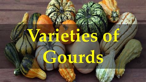 Types Of Gourds Chart