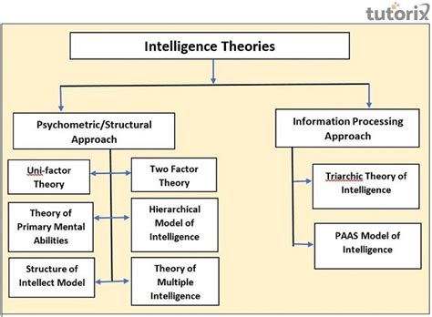 Human Intelligence: Meaning and Definition